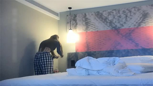 三级片免费一区二区三区精品,欧美日韩一区二区精品在线观看视频,国产一区二区三区水野朝阳