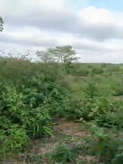 怡红院av一区二区三区,人妻日韩视频一区二区,日韩人妻无码一区二区三区